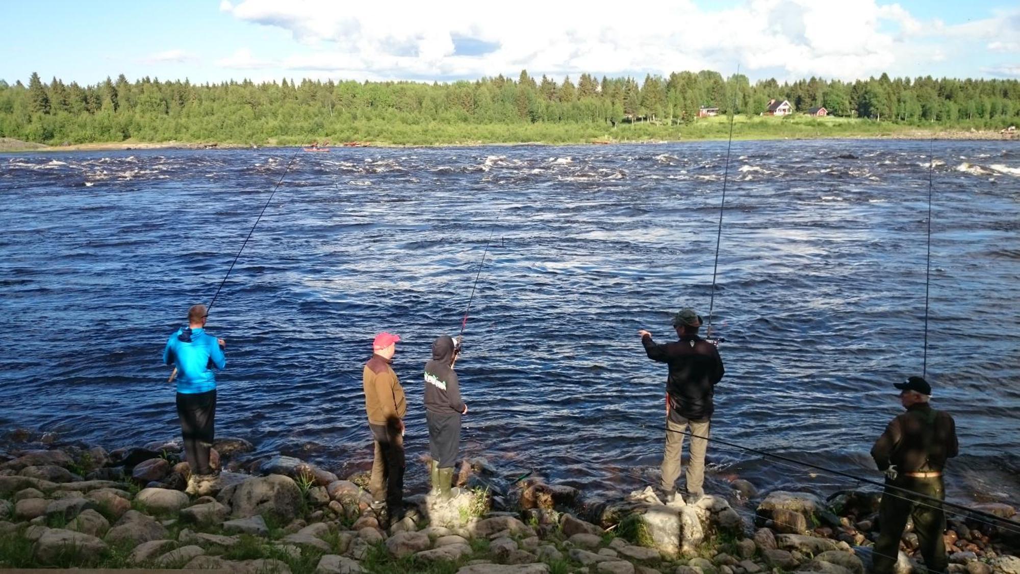 Korpikylä Nivagardenヴィラ エクステリア 写真
